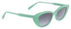 Fly Catalina Limited