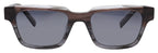 FLY COLT POLARIZED LTD