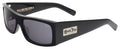 Fly Detector 2